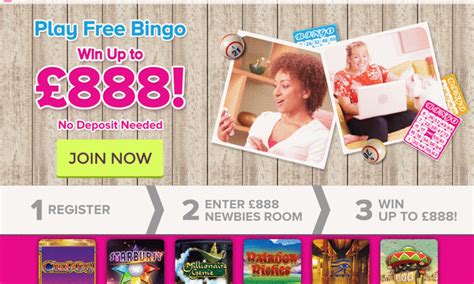 888ladies bingo|888ladies.com.